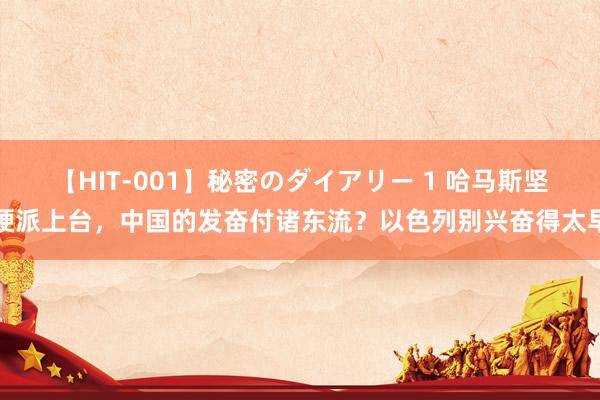 【HIT-001】秘密のダイアリー 1 哈马斯坚硬派上台，中国的发奋付诸东流？以色列别兴奋得太早