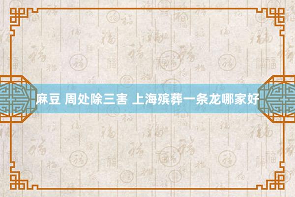 麻豆 周处除三害 上海殡葬一条龙哪家好