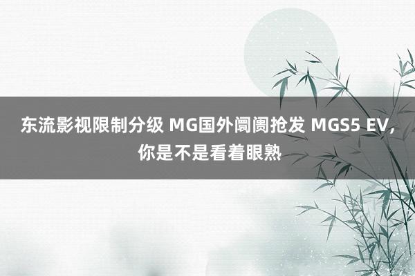 东流影视限制分级 MG国外阛阓抢发 MGS5 EV, 你是不是看着眼熟