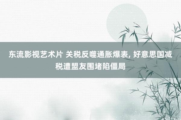 东流影视艺术片 关税反噬通胀爆表, 好意思国减税遭盟友围堵陷僵局