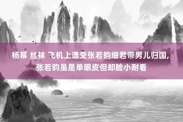 杨幂 丝袜 飞机上遭受张若昀细君带男儿归国, 张若昀虽是单眼皮但却脸小耐看
