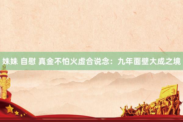 妹妹 自慰 真金不怕火虚合说念：九年面壁大成之境